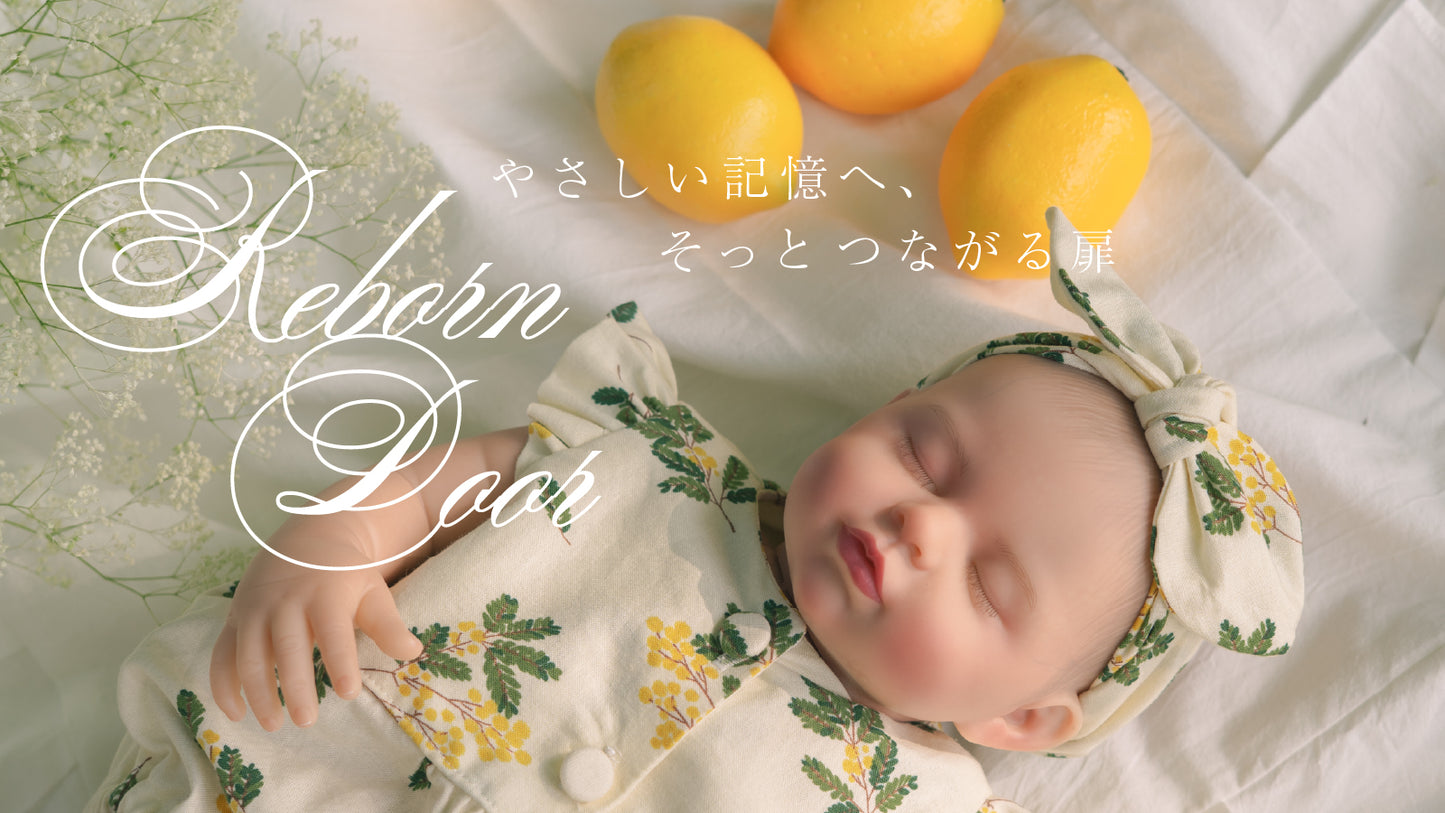 ミモザ・ブルーム｜Mimosa Bloom